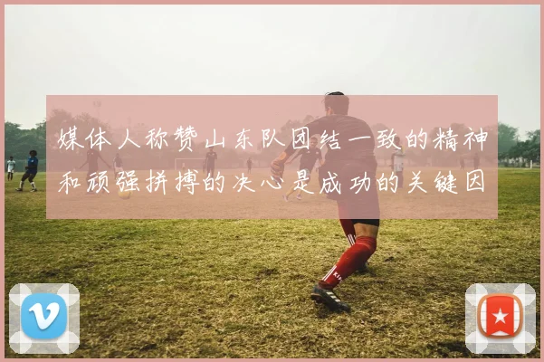 媒体人称赞山东队团结一致的精神和顽强拼搏的决心是成功的关键因素